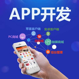 青岛移动互联网app开发价格 青岛移动互联网app开发型号规格